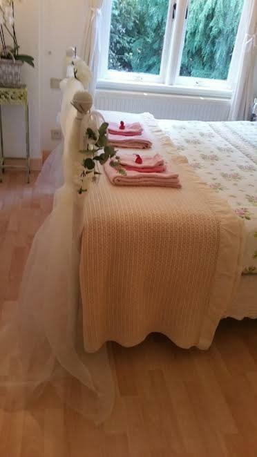 B&B Romantic Rooms Central Haarlem Exteriör bild